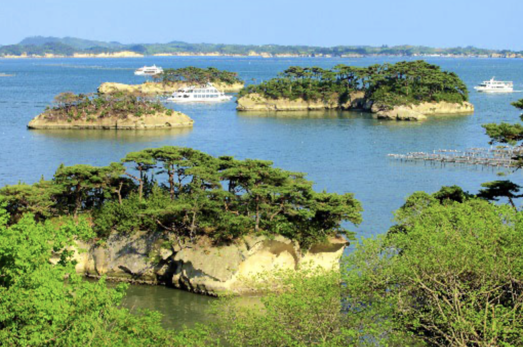 宮城より合宿のお知らせ